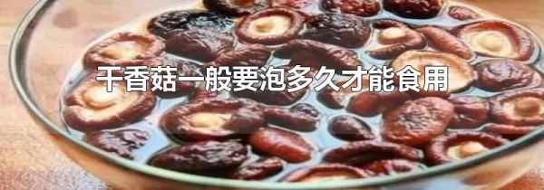干香菇一般要泡多久才能食用