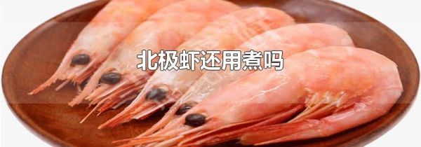 北极虾还用煮吗