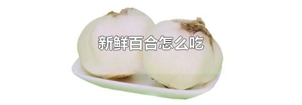 新鲜百合怎么吃