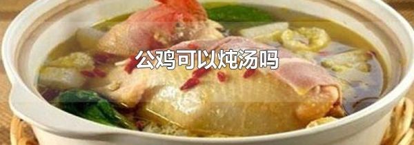 公鸡可以炖汤吗