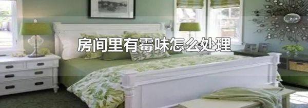 房间里有霉味怎么处理