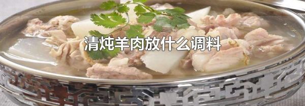 清炖羊肉放什么调料