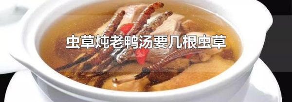 虫草炖老鸭汤要几根虫草