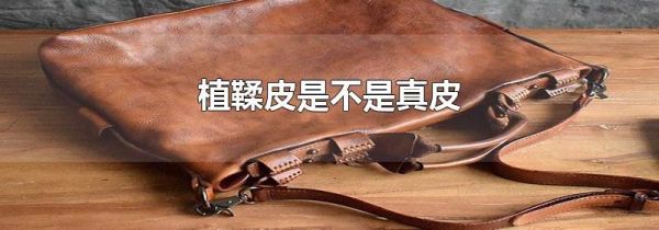 植鞣皮是不是真皮
