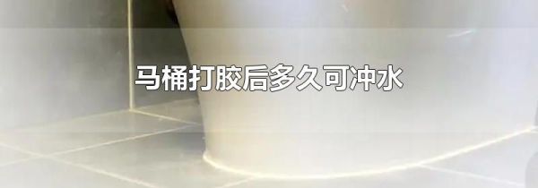 马桶打胶后多久可冲水