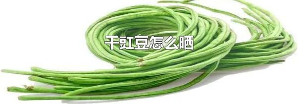 干豇豆怎么晒