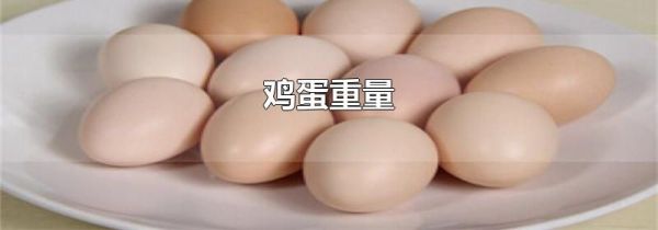 鸡蛋重量