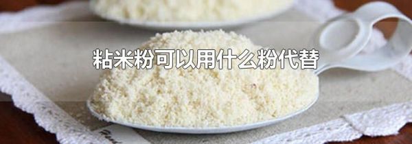 粘米粉可以用什么粉代替