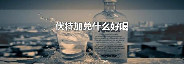 伏特加兑什么好喝