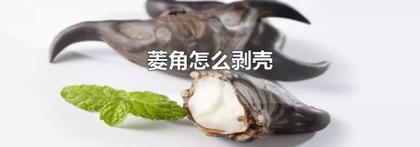菱角怎么剥壳