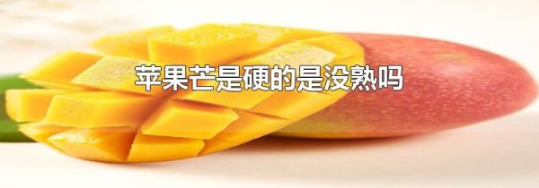 苹果芒是硬的是没熟吗