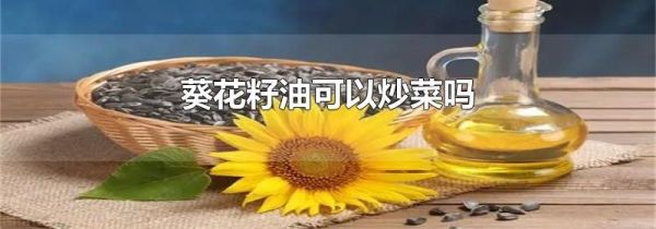 葵花籽油可以炒菜吗