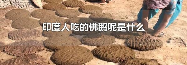 印度人吃的佛鹅呢是什么