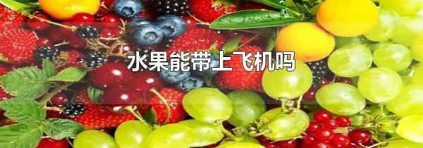 水果能带上飞机吗