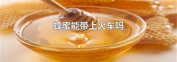 蜂蜜能带上火车吗