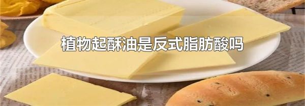 植物起酥油是反式脂肪酸吗