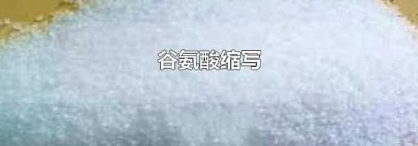谷氨酸缩写