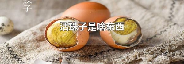 活珠子是啥东西