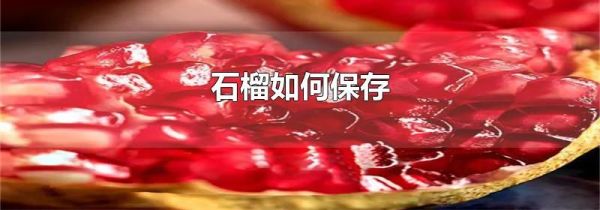 石榴如何保存