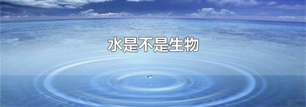 水是不是生物