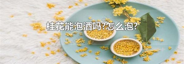 桂花能泡酒吗?怎么泡?
