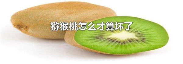 猕猴桃怎么才算坏了