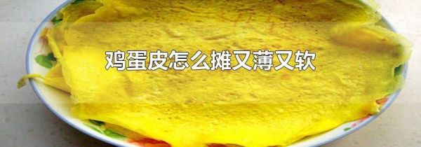 鸡蛋皮怎么摊又薄又软