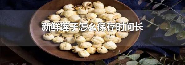 新鲜莲子怎么保存时间长