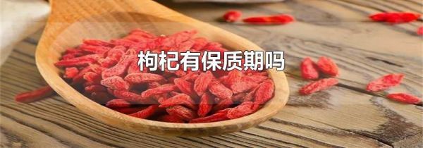 枸杞有保质期吗