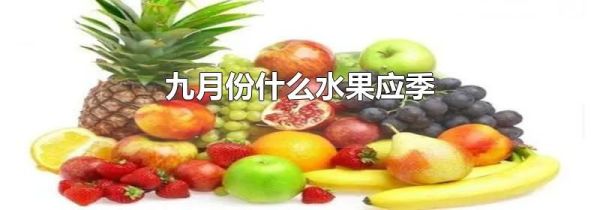 九月份什么水果应季
