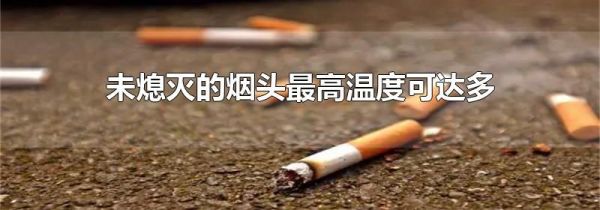 未熄灭的烟头最高温度可达多少度