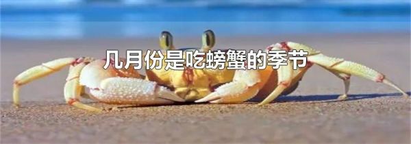 几月份是吃螃蟹的季节