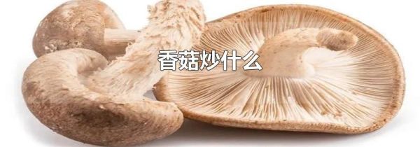 香菇炒什么