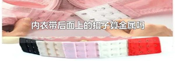 内衣带后面上的扣子算金属吗