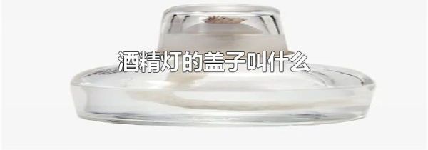 酒精灯的盖子叫什么