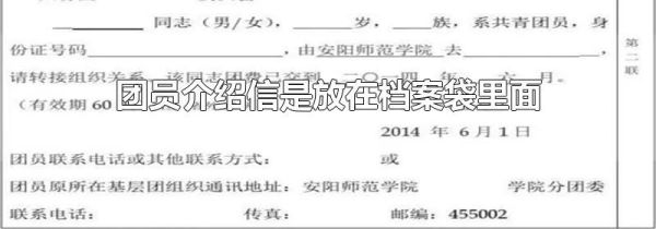 团员介绍信是放在档案袋里面的吗?