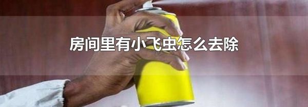 房间里有小飞虫怎么去除