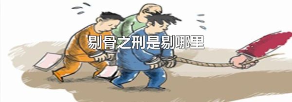 剔骨之刑是剔哪里