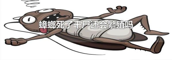 蟑螂死了干尸还会繁殖吗