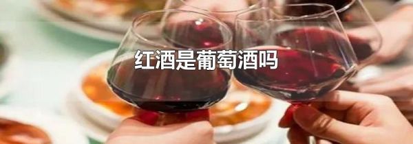 红酒是葡萄酒吗