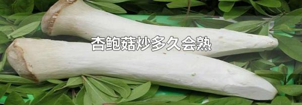 杏鲍菇炒多久会熟