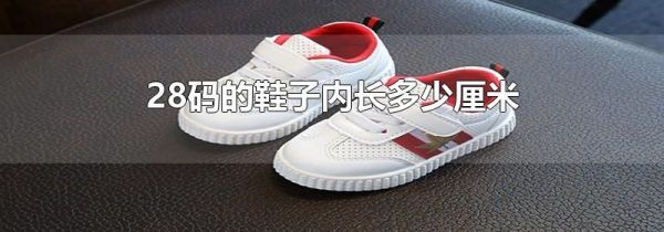 28码的鞋子内长多少厘米
