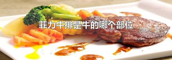 菲力牛排是牛的哪个部位