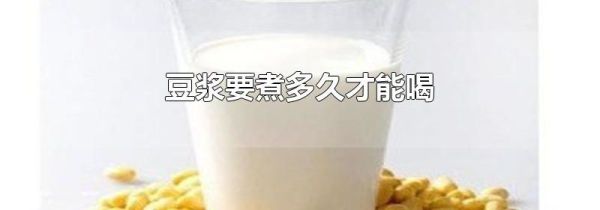 豆浆要煮多久才能喝