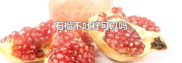 石榴不吐籽可以吗