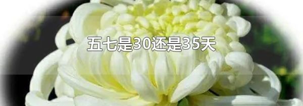 五七是30还是35天
