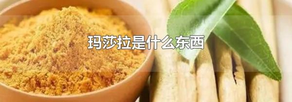 玛莎拉是什么东西