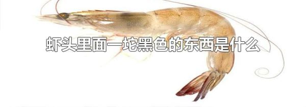 虾头里面一坨黑色的东西是什么