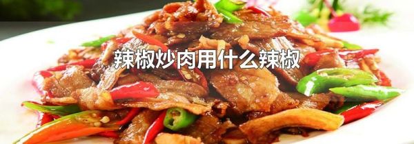 辣椒炒肉用什么辣椒