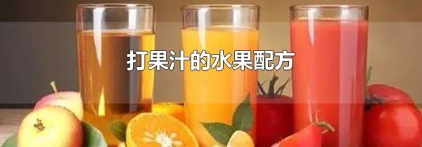 打果汁的水果配方